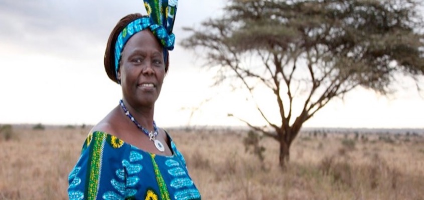 BAR Book Forum: Grace A. Musila’s Book, “Wangari Maathai's Registers of Freedom”