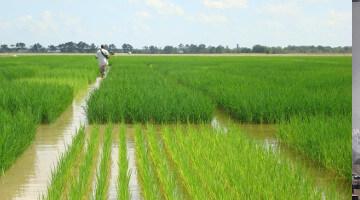 if it takes 100 years