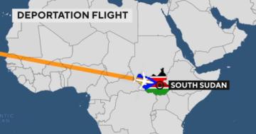 Immigration flight graphic
